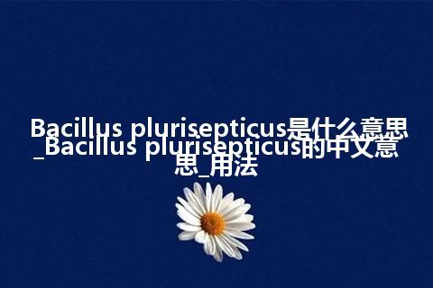 Bacillus plurisepticus是什么意思_Bacillus plurisepticus的中文意思_用法