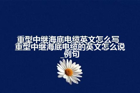 重型中继海底电缆英文怎么写_重型中继海底电缆的英文怎么说_例句