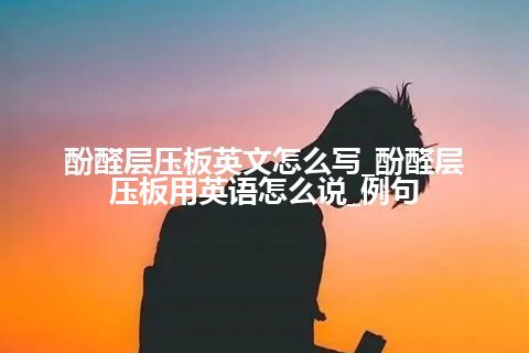 酚醛层压板英文怎么写_酚醛层压板用英语怎么说_例句