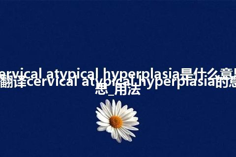 cervical atypical hyperplasia是什么意思_翻译cervical atypical hyperplasia的意思_用法