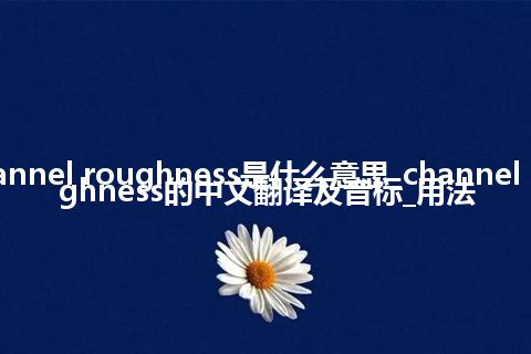 channel roughness是什么意思_channel roughness的中文翻译及音标_用法