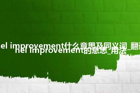 channel improvement什么意思及同义词_翻译channel improvement的意思_用法