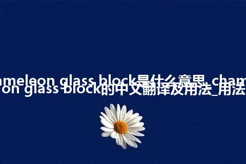 chameleon glass block是什么意思_chameleon glass block的中文翻译及用法_用法