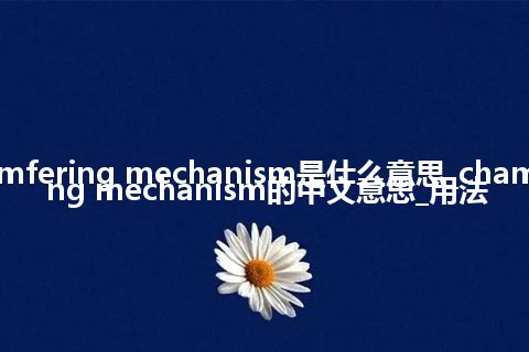 chamfering mechanism是什么意思_chamfering mechanism的中文意思_用法