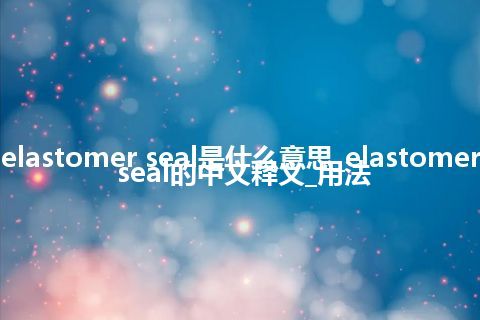 elastomer seal是什么意思_elastomer seal的中文释义_用法