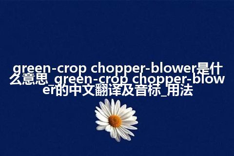 green-crop chopper-blower是什么意思_green-crop chopper-blower的中文翻译及音标_用法