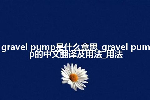 gravel pump是什么意思_gravel pump的中文翻译及用法_用法