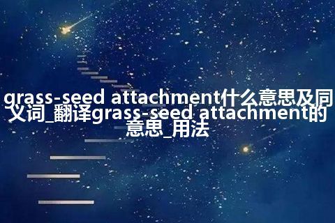 grass-seed attachment什么意思及同义词_翻译grass-seed attachment的意思_用法