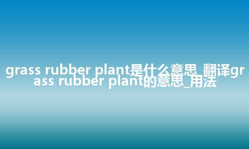 grass rubber plant是什么意思_翻译grass rubber plant的意思_用法