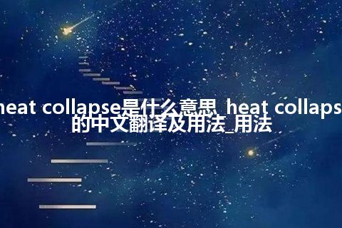 heat collapse是什么意思_heat collapse的中文翻译及用法_用法