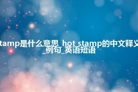hot stamp是什么意思_hot stamp的中文释义_用法_例句_英语短语