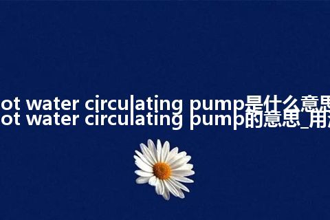 hot water circulating pump是什么意思_hot water circulating pump的意思_用法