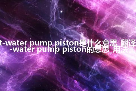 hot-water pump piston是什么意思_翻译hot-water pump piston的意思_用法