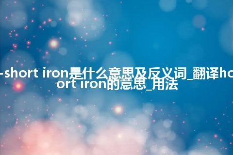 hot-short iron是什么意思及反义词_翻译hot-short iron的意思_用法