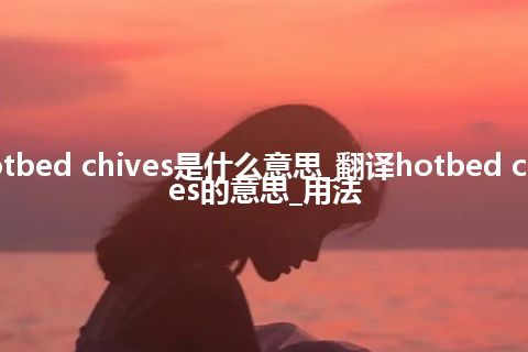 hotbed chives是什么意思_翻译hotbed chives的意思_用法