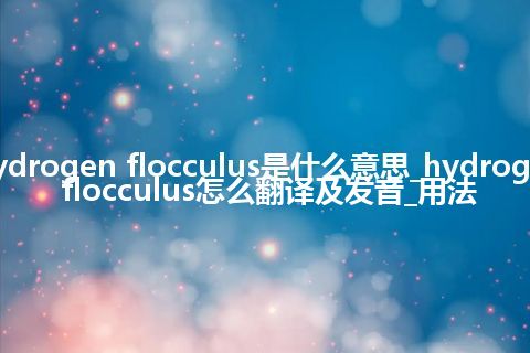 hydrogen flocculus是什么意思_hydrogen flocculus怎么翻译及发音_用法