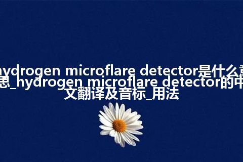 hydrogen microflare detector是什么意思_hydrogen microflare detector的中文翻译及音标_用法