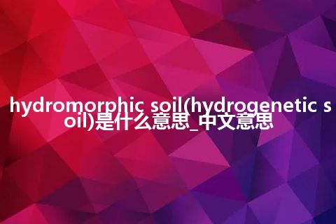 hydromorphic soil(hydrogenetic soil)是什么意思_中文意思