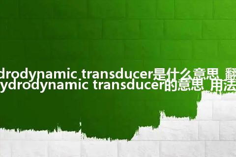 hydrodynamic transducer是什么意思_翻译hydrodynamic transducer的意思_用法