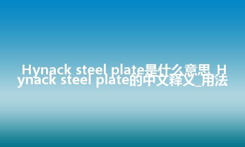 Hynack steel plate是什么意思_Hynack steel plate的中文释义_用法