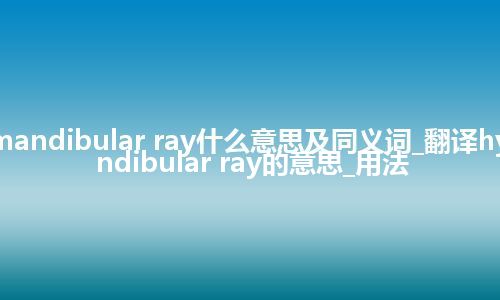 hyomandibular ray什么意思及同义词_翻译hyomandibular ray的意思_用法