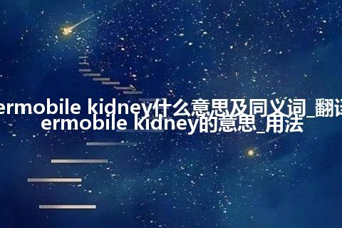 hypermobile kidney什么意思及同义词_翻译hypermobile kidney的意思_用法