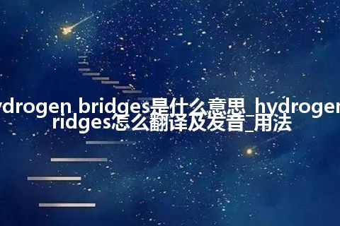 hydrogen bridges是什么意思_hydrogen bridges怎么翻译及发音_用法