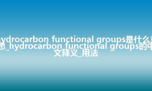 hydrocarbon functional groups是什么意思_hydrocarbon functional groups的中文释义_用法