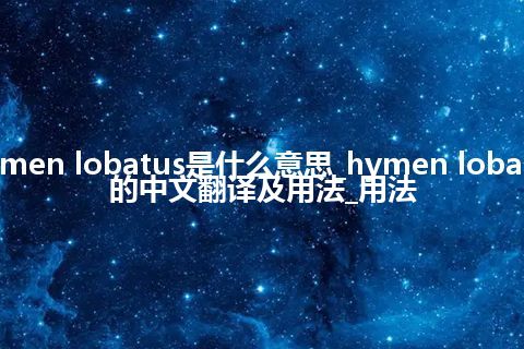 hymen lobatus是什么意思_hymen lobatus的中文翻译及用法_用法
