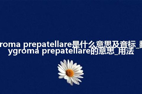 hygroma prepatellare是什么意思及音标_翻译hygroma prepatellare的意思_用法
