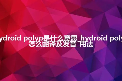 hydroid polyp是什么意思_hydroid polyp怎么翻译及发音_用法