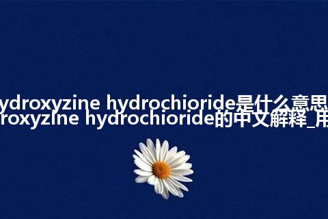 hydroxyzine hydrochioride是什么意思_hydroxyzine hydrochioride的中文解释_用法