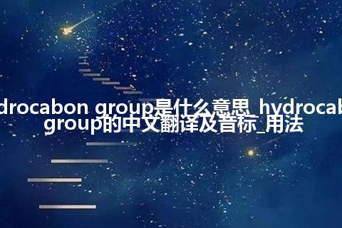 hydrocabon group是什么意思_hydrocabon group的中文翻译及音标_用法