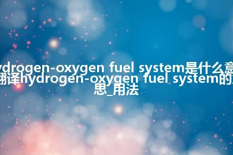 hydrogen-oxygen fuel system是什么意思_翻译hydrogen-oxygen fuel system的意思_用法