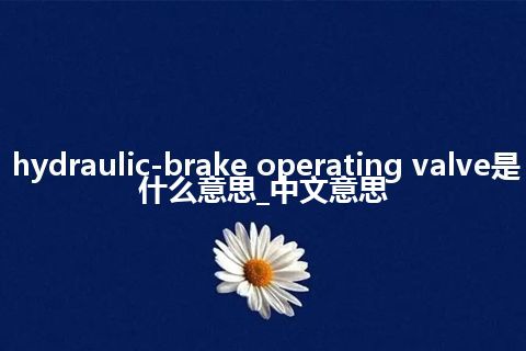 hydraulic-brake operating valve是什么意思_中文意思