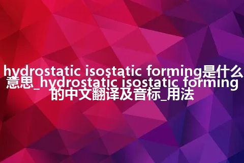 hydrostatic isostatic forming是什么意思_hydrostatic isostatic forming的中文翻译及音标_用法