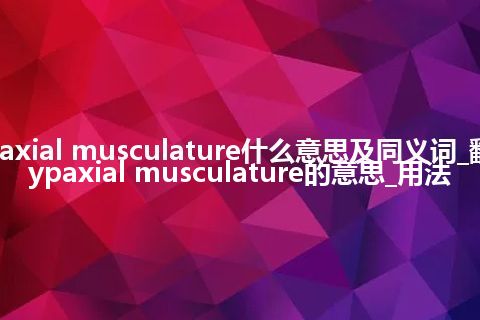 hypaxial musculature什么意思及同义词_翻译hypaxial musculature的意思_用法