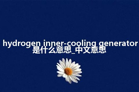 hydrogen inner-cooling generator是什么意思_中文意思