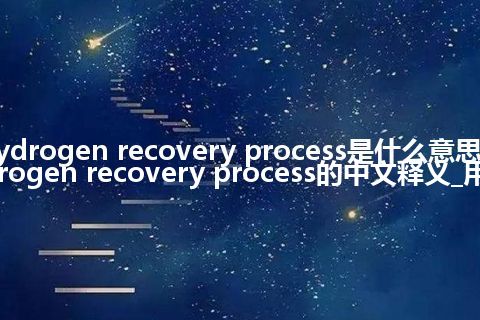 hydrogen recovery process是什么意思_hydrogen recovery process的中文释义_用法