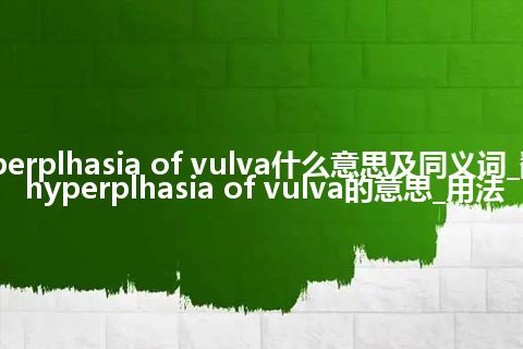hyperplhasia of vulva什么意思及同义词_翻译hyperplhasia of vulva的意思_用法