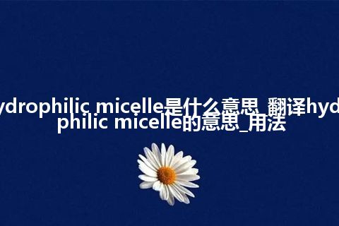 hydrophilic micelle是什么意思_翻译hydrophilic micelle的意思_用法