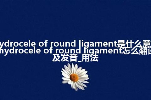 hydrocele of round ligament是什么意思_hydrocele of round ligament怎么翻译及发音_用法