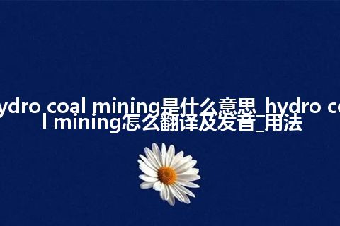 hydro coal mining是什么意思_hydro coal mining怎么翻译及发音_用法