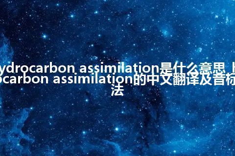 hydrocarbon assimilation是什么意思_hydrocarbon assimilation的中文翻译及音标_用法
