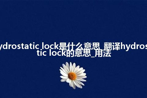 hydrostatic lock是什么意思_翻译hydrostatic lock的意思_用法