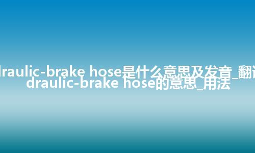 hydraulic-brake hose是什么意思及发音_翻译hydraulic-brake hose的意思_用法