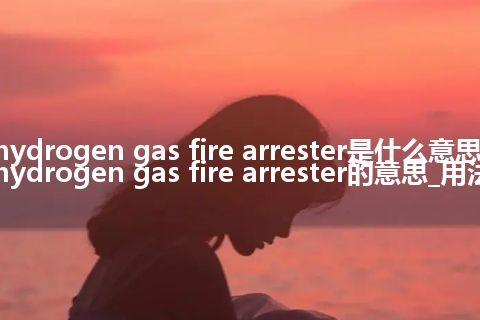 hydrogen gas fire arrester是什么意思_hydrogen gas fire arrester的意思_用法