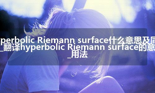 hyperbolic Riemann surface什么意思及同义词_翻译hyperbolic Riemann surface的意思_用法