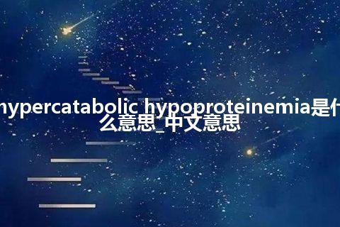 hypercatabolic hypoproteinemia是什么意思_中文意思