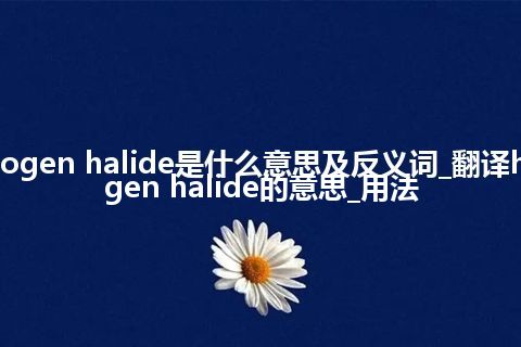 hydrogen halide是什么意思及反义词_翻译hydrogen halide的意思_用法